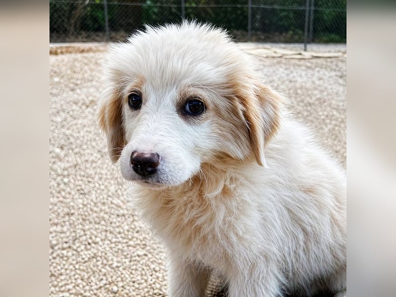 Emy ist bereit für ihr großes Abenteuer