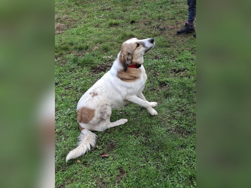 Rea Marie - bereit für Abenteuer