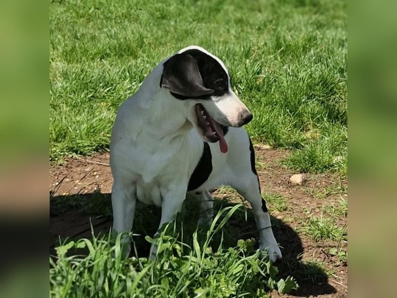 Faris - ein Sonnenschein