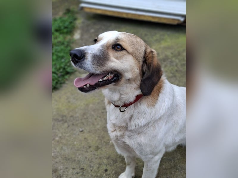 Rea Marie - bereit für Abenteuer