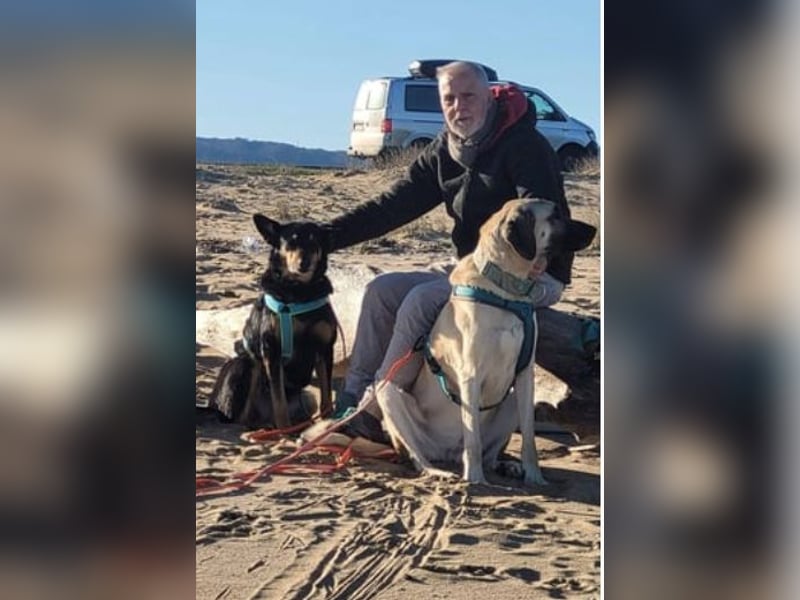 Niki - auch Patenschaften gesucht