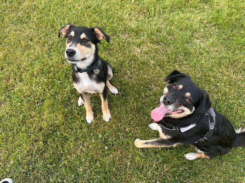 Aarne braucht Ruhe und Struktur