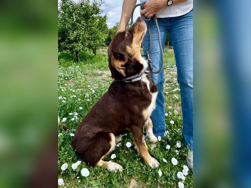 Matrix, der Gentleman