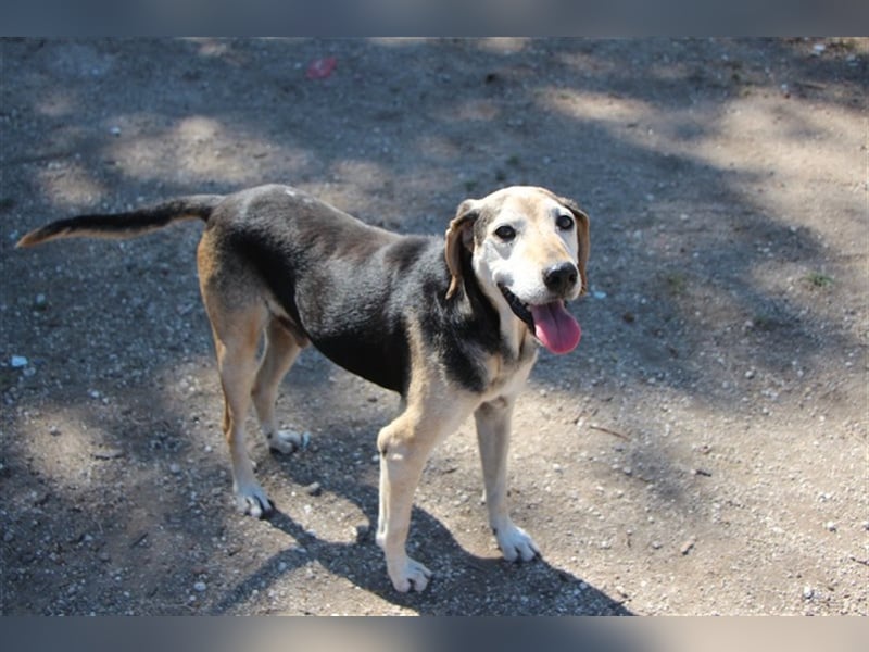 Florian, ein großer, alter Herr Florian, ein großer, alter Herr