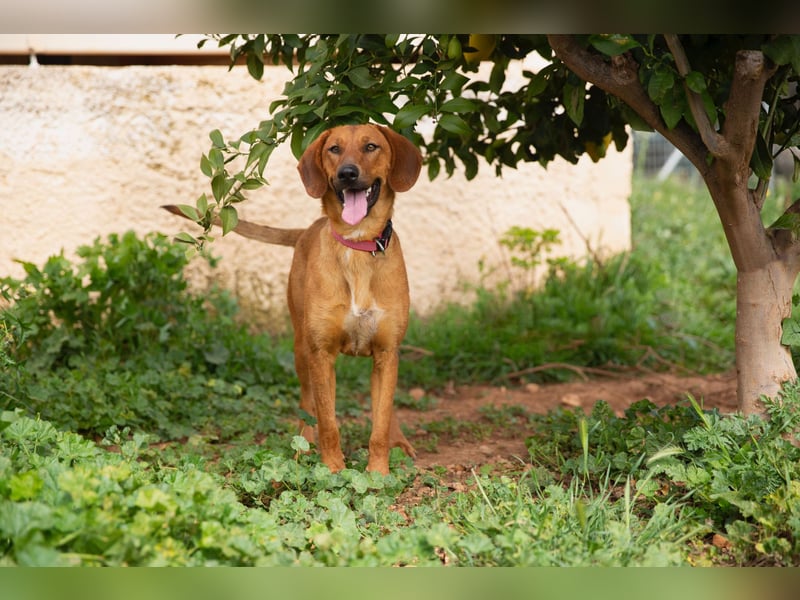  Lerne ARIEL kennen – Deine neue treue Begleiterin! 