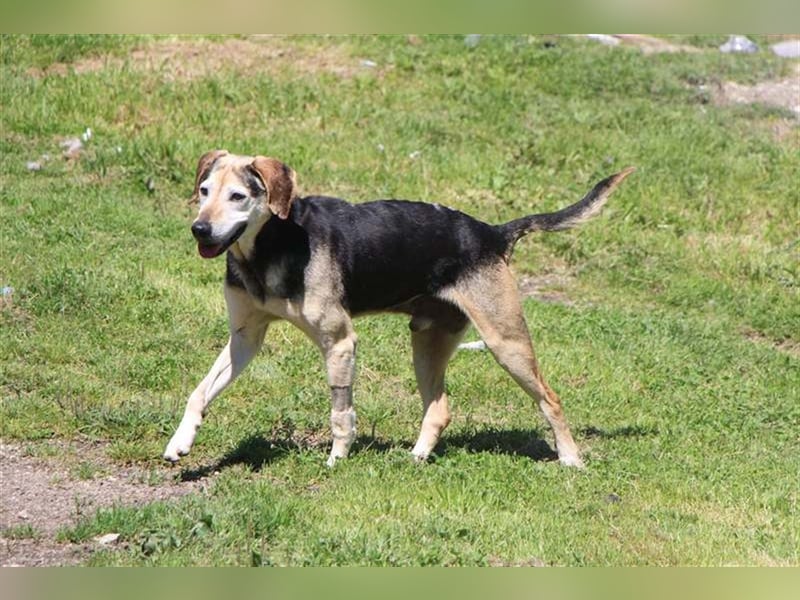 Florian, ein großer, alter Herr Florian, ein großer, alter Herr