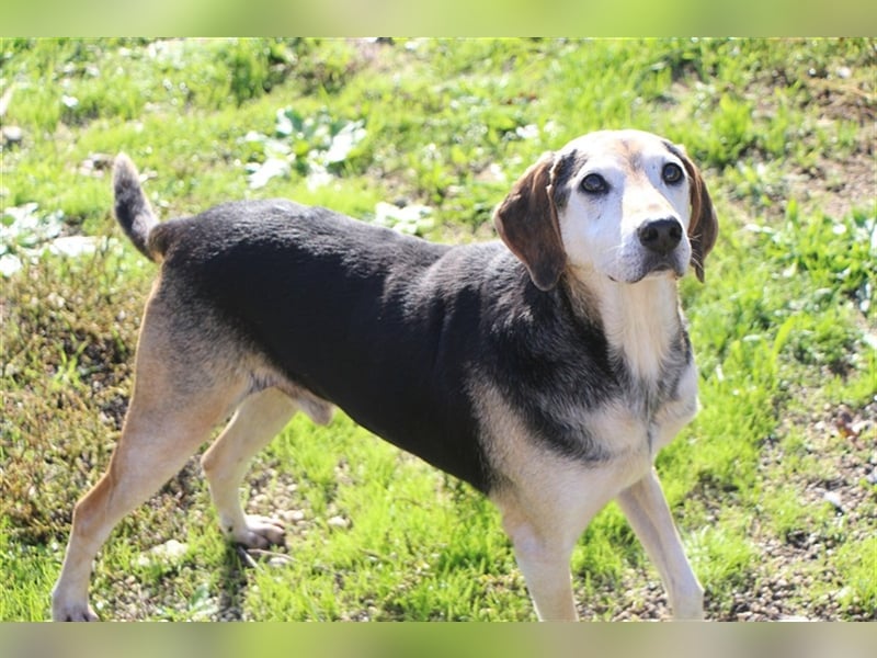 Florian, ein großer, alter Herr Florian, ein großer, alter Herr
