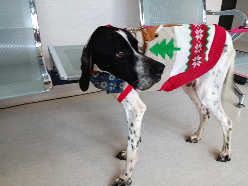  AMBER – Kleines Wunder mit großem Herzen 