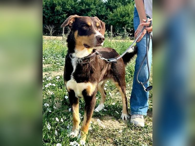 Matrix, der Gentleman