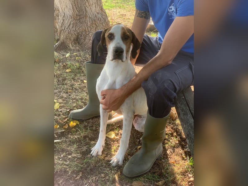 Pluto sucht ein zu Hause