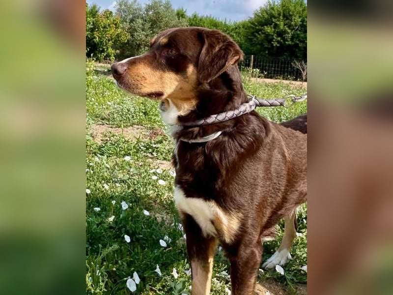 Matrix, der Gentleman