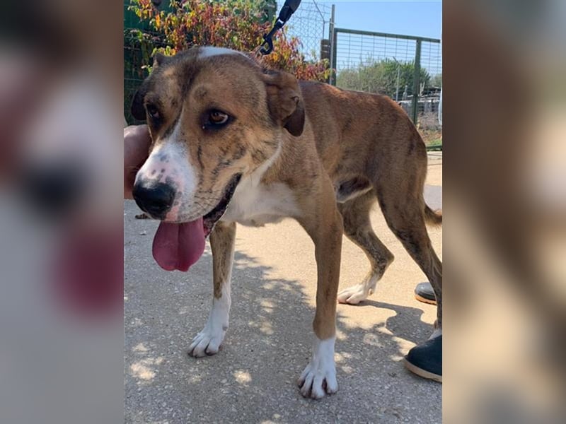 Stephan braucht geduldige Menschen