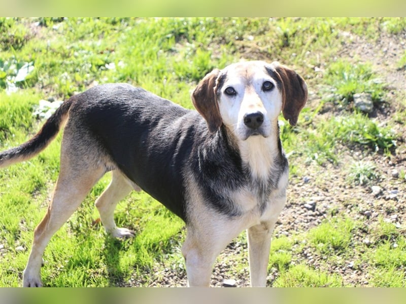 Florian, ein großer, alter Herr Florian, ein großer, alter Herr