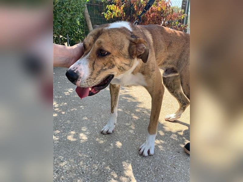 Stephan braucht geduldige Menschen