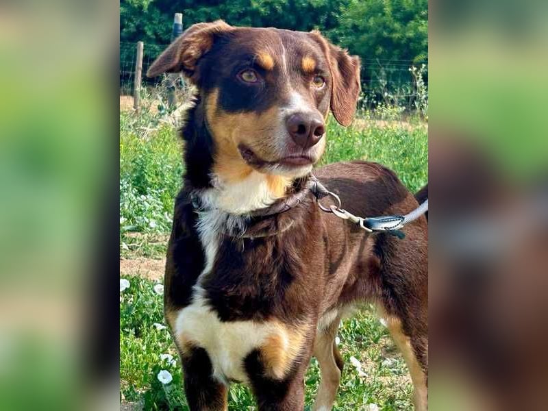 Matrix, der Gentleman