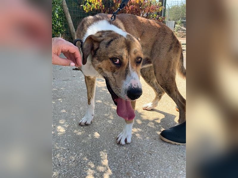 Stephan braucht geduldige Menschen