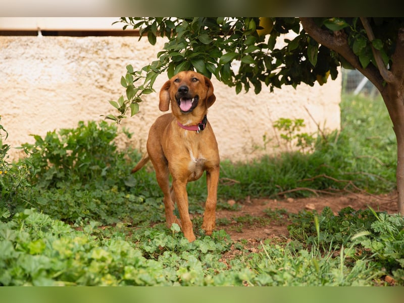  Lerne ARIEL kennen – Deine neue treue Begleiterin! 