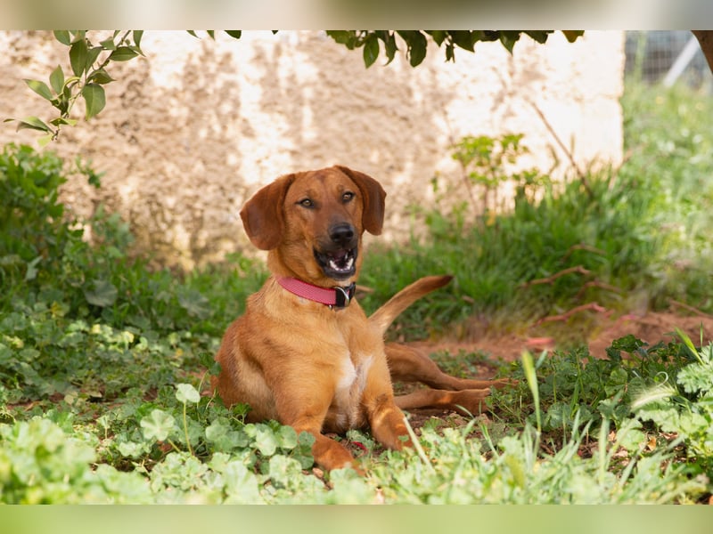  Lerne ARIEL kennen – Deine neue treue Begleiterin! 