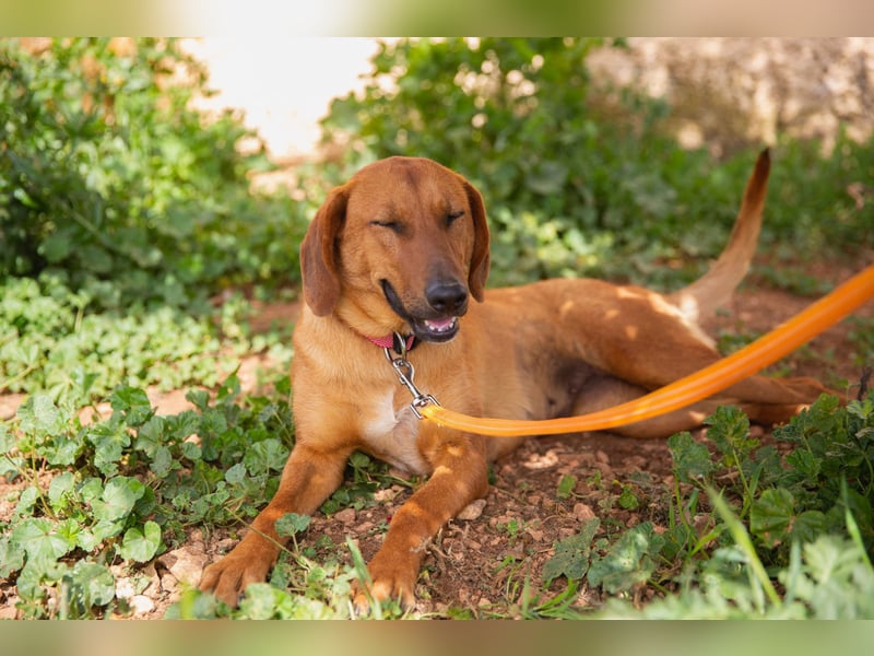  Lerne ARIEL kennen – Deine neue treue Begleiterin! 