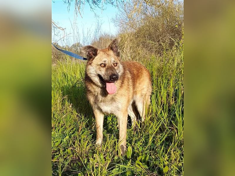 Urano, ein halbes Paar