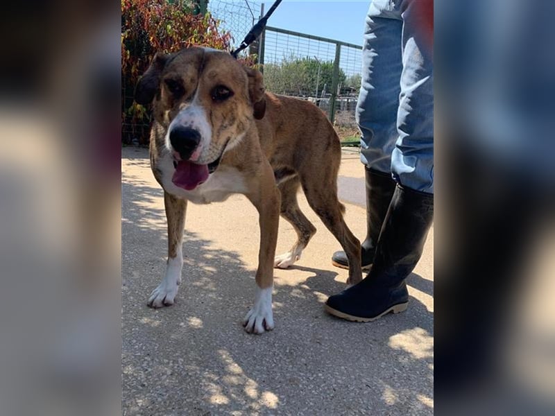 Stephan braucht geduldige Menschen