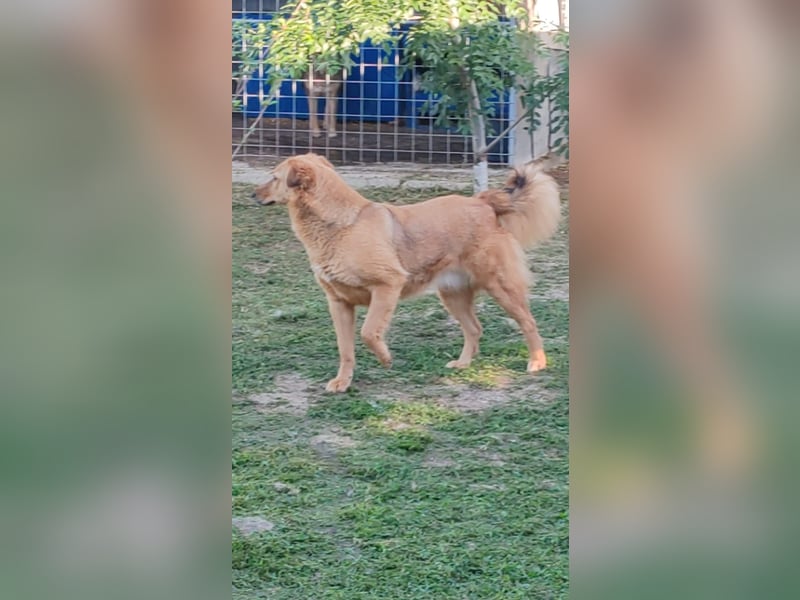 Inge, wunderschöner Schatz