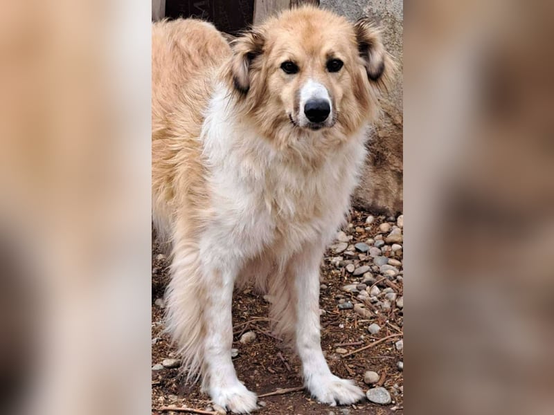 Noah, ein wunderschöner Schatz