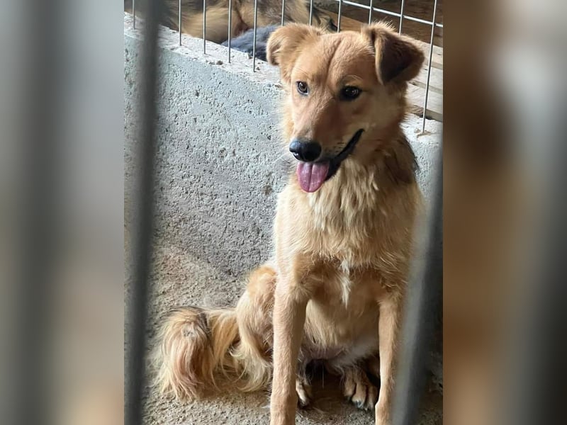 Inge, wunderschöner Schatz