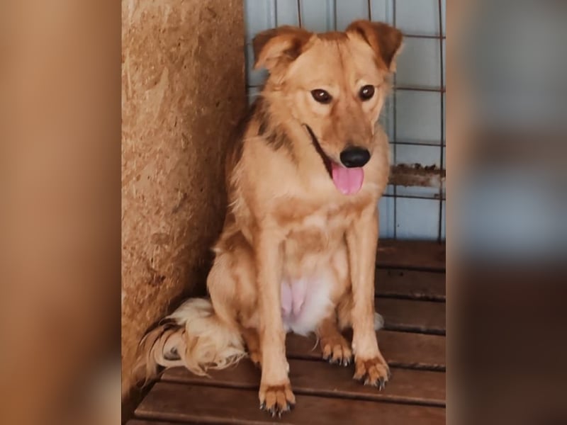 Inge, wunderschöner Schatz