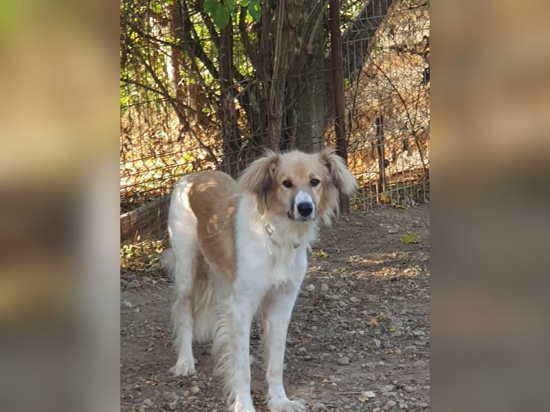 Noah, ein wunderschöner Schatz