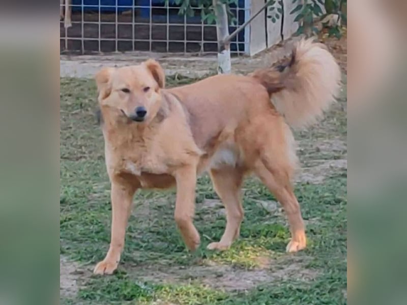 Inge, wunderschöner Schatz