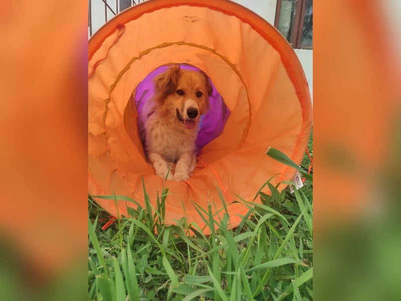 Noah, ein wunderschöner Schatz