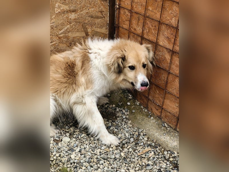 Noah, ein wunderschöner Schatz