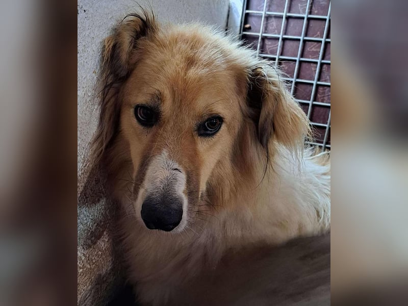 Noah, ein wunderschöner Schatz