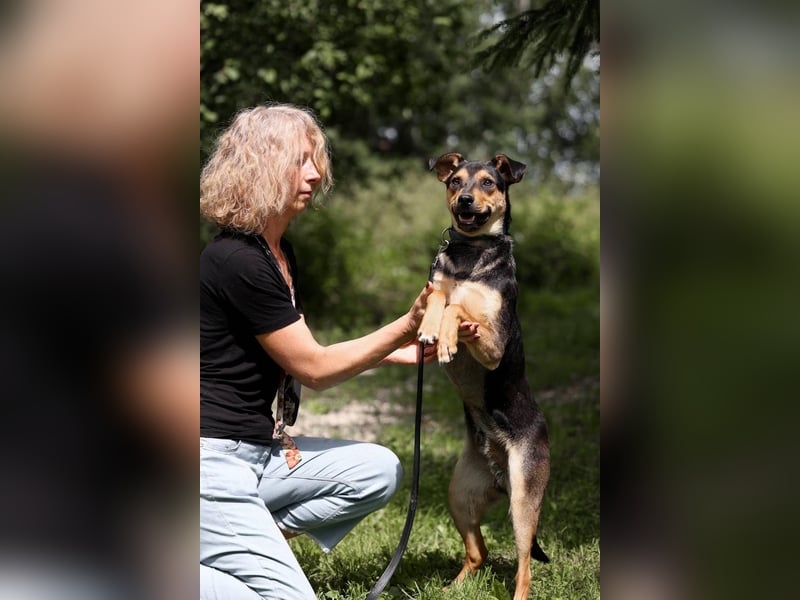 BOSCO *geb. 09/2024 - kleine Seele ist bereit für ihr eigenes Körbchen