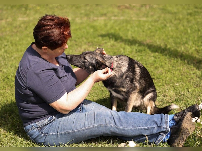 VARJA *geb. 03/2024 - eine liebevolle Hündin auf der Suche nach Geborgenheit