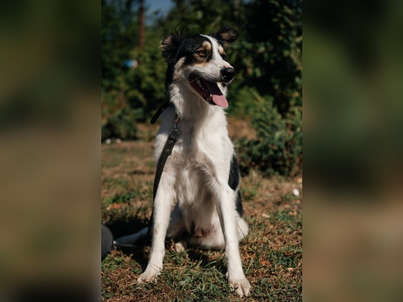 MARTIN *geb. 03/2023 - Möchte sein Herz verschenken - an dich?