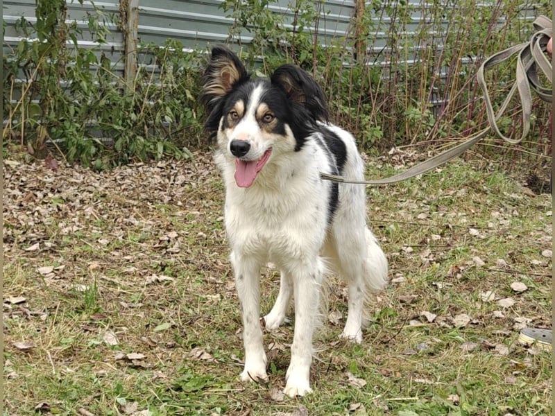 MARTIN *geb. 03/2023 - Möchte sein Herz verschenken - an dich?