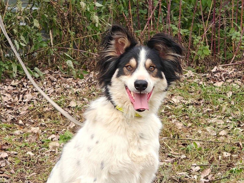 MARTIN *geb. 03/2023 - Möchte sein Herz verschenken - an dich?