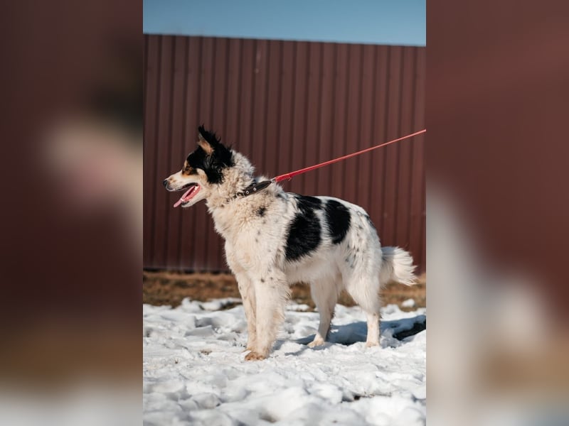 MARTIN *geb. 03/2023 - Möchte sein Herz verschenken - an dich?