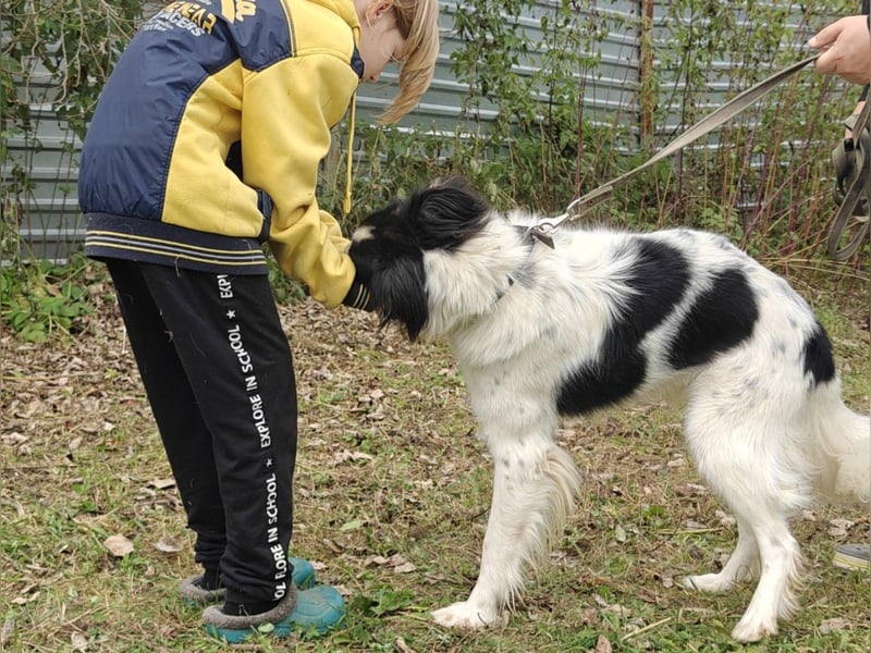MARTIN *geb. 03/2023 - Möchte sein Herz verschenken - an dich?