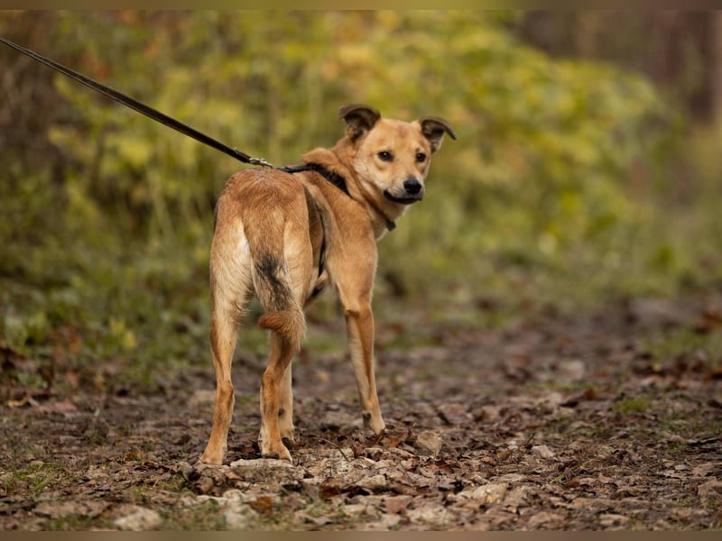EMIL *geb. 09/2024 - kleine Seele ist bereit für ihr eigenes Körbchen