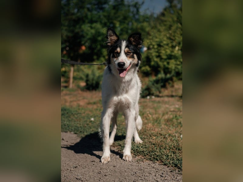 MARTIN *geb. 03/2023 - Möchte sein Herz verschenken - an dich?