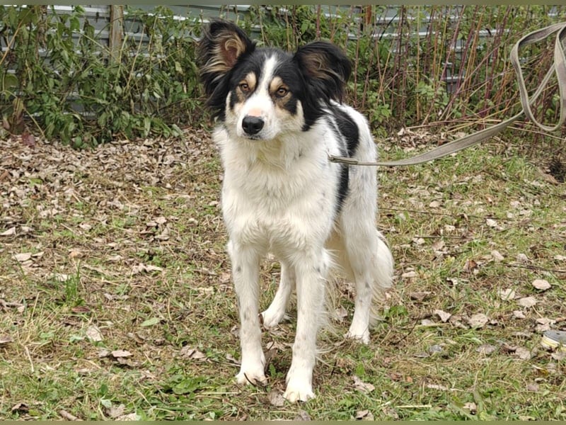 MARTIN *geb. 03/2023 - Möchte sein Herz verschenken - an dich?