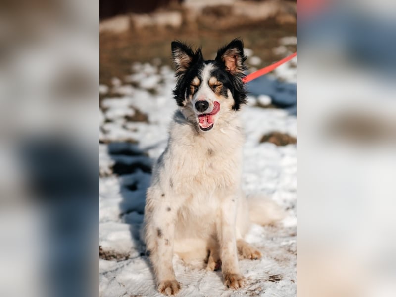 MARTIN *geb. 03/2023 - Möchte sein Herz verschenken - an dich?