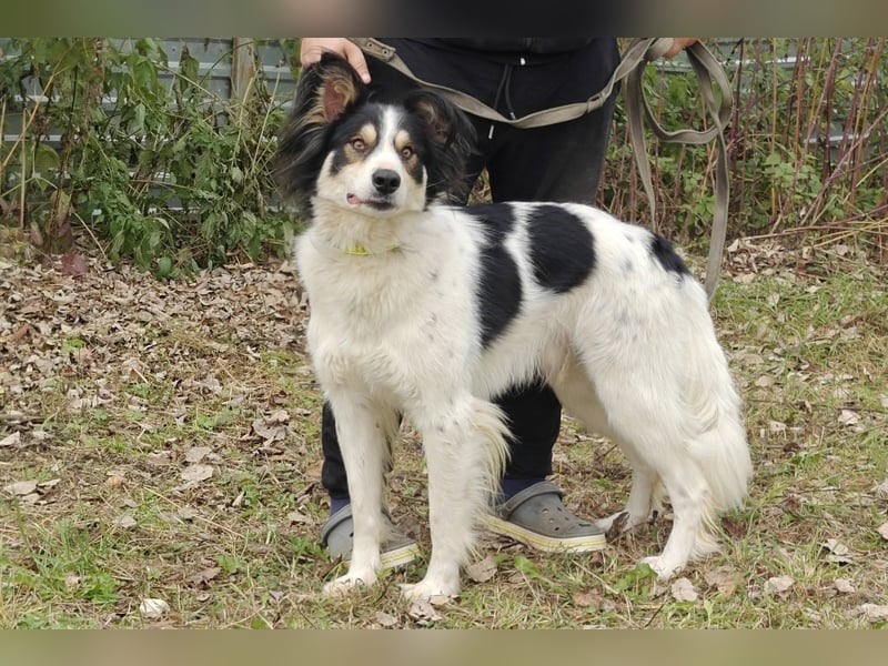 MARTIN *geb. 03/2023 - Möchte sein Herz verschenken - an dich?