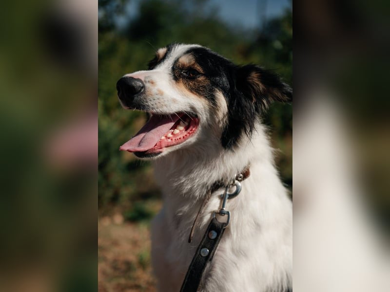 MARTIN *geb. 03/2023 - Möchte sein Herz verschenken - an dich?