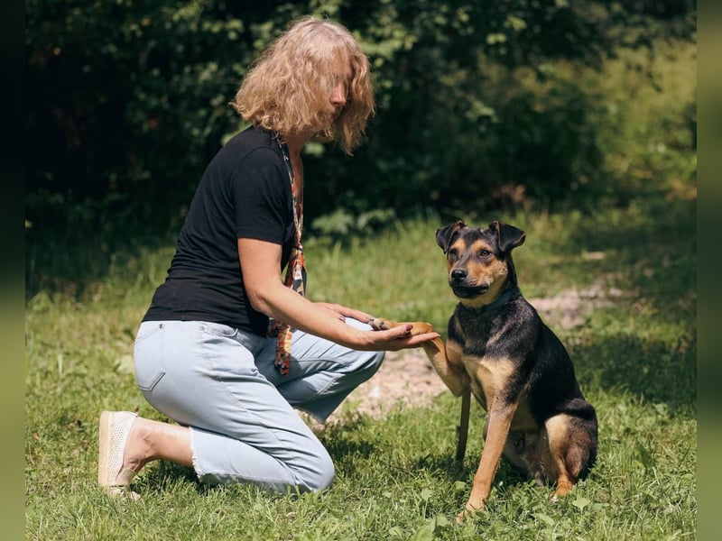 BOSCO *geb. 09/2024 - kleine Seele ist bereit für ihr eigenes Körbchen