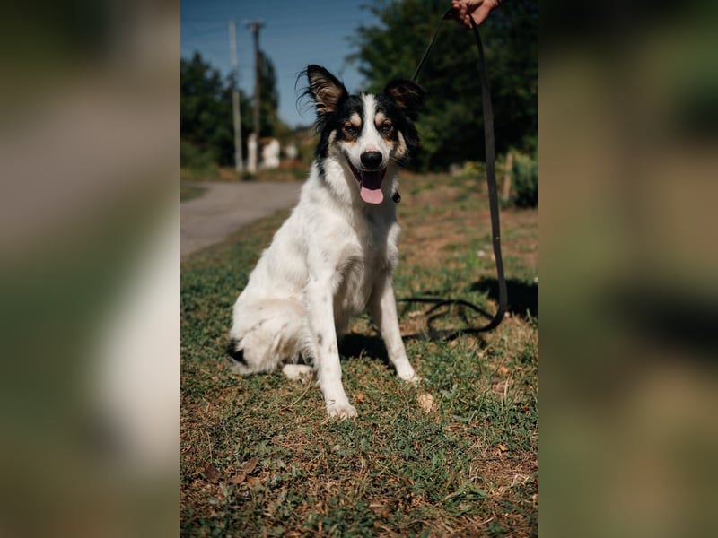 MARTIN *geb. 03/2023 - Möchte sein Herz verschenken - an dich?