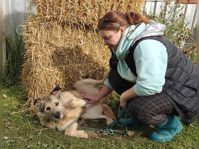 RONI *geb. 01/2023 - aktiver Gefährte mit Herz und Mut sucht sein Zuhause